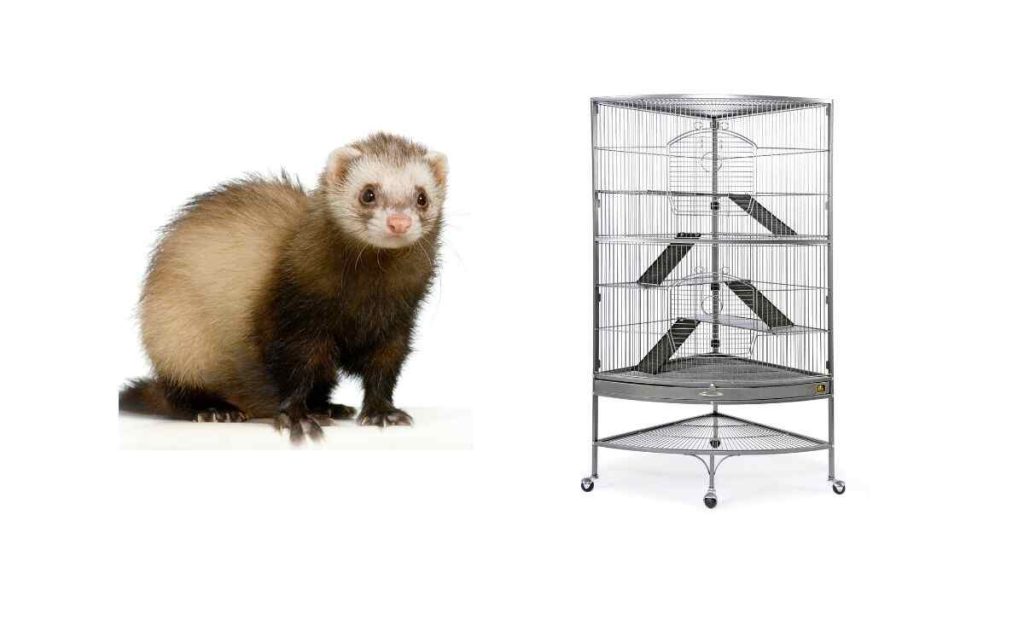 How to Build a Ferret Cage
