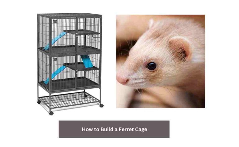 How to Build a Ferret Cage